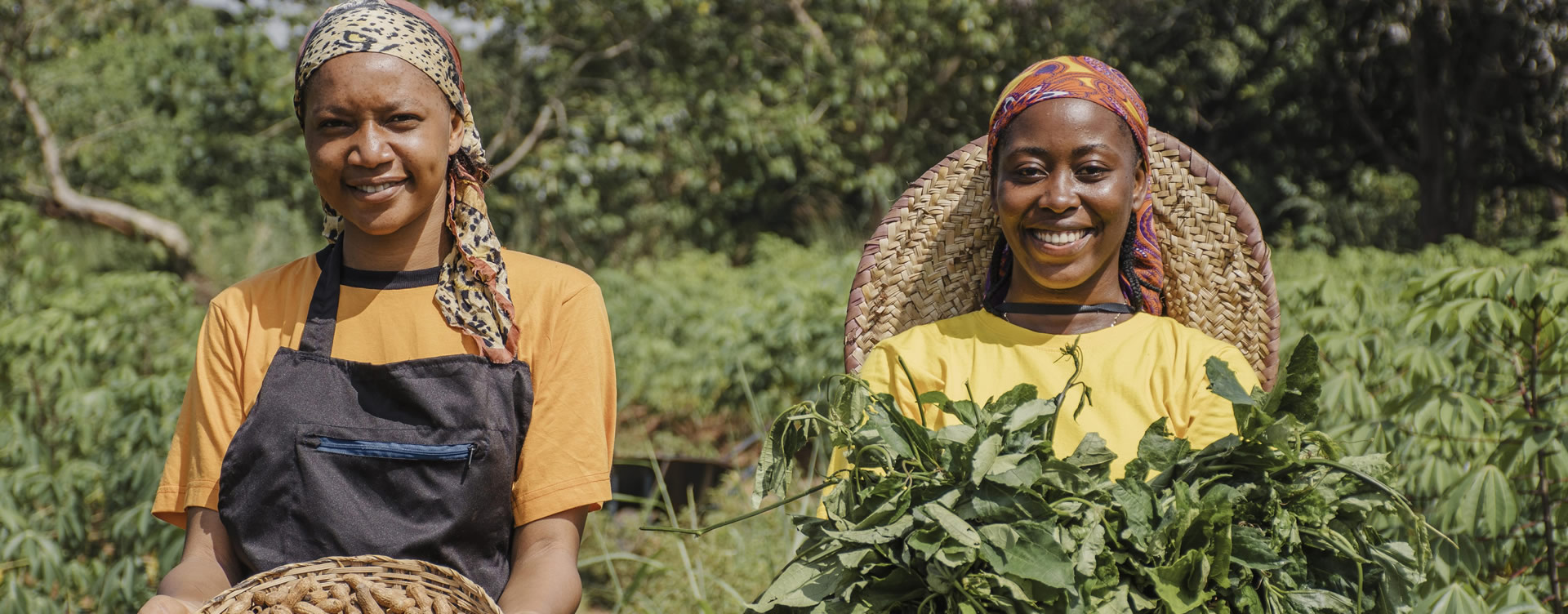 Agricultural Development